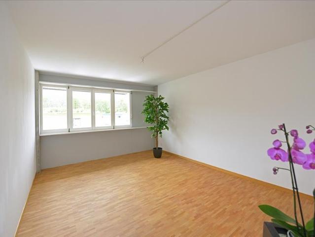 4.5 Zimmer, 95 m², 2. Stock