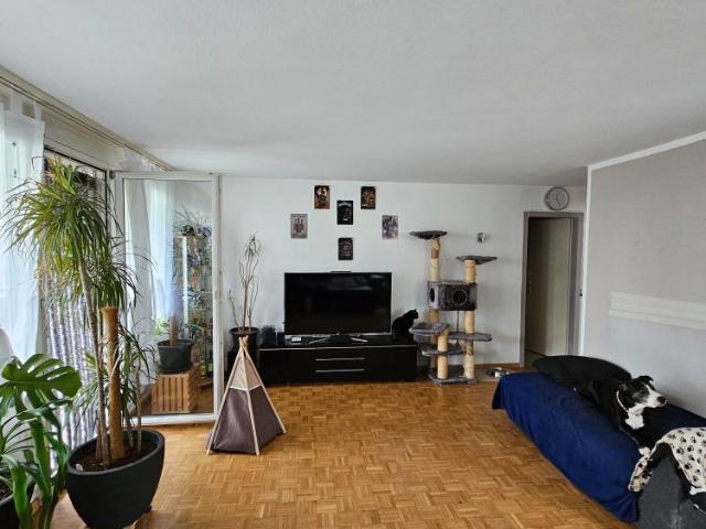 4.5 Zimmer, 96 m²