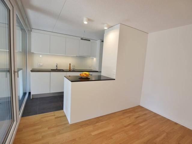 4.5 Zimmerwohnung im familienfreundlichen Nesslerenquartier