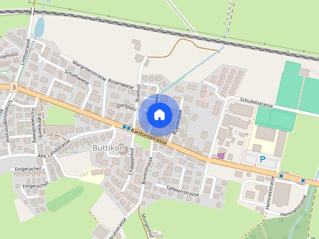 4.5 Zimmerwohnung in Buttikon