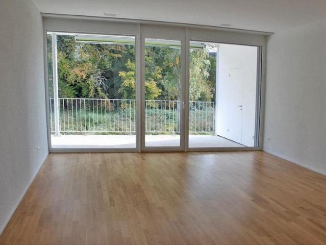 4.5 Zimmerwohnung in Schaffhausen