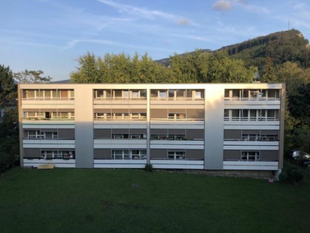 4.5 ZWG neuwertig, Abendsonne