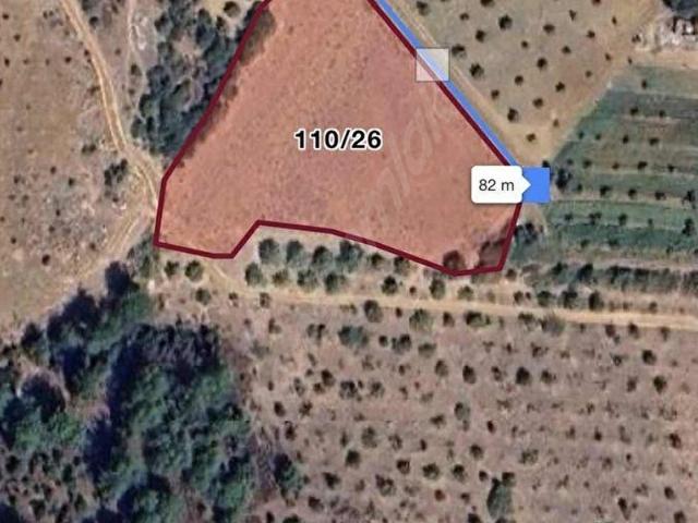 4.676 m Tek Tapulu, 82 Metre Yol Cepheli doğa cenneti