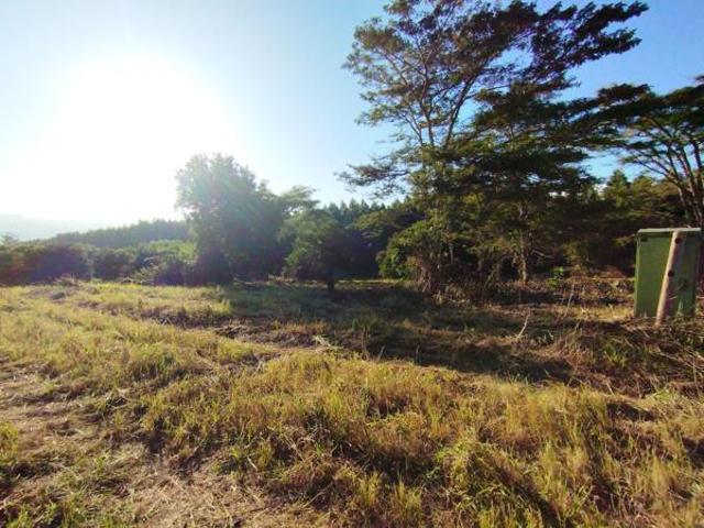 4 613 m² Land available in Tzaneen