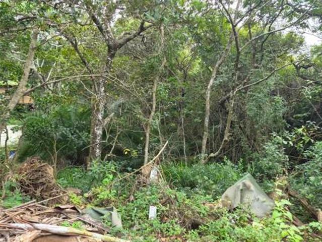 4 623 m² Land available in Palm Beach