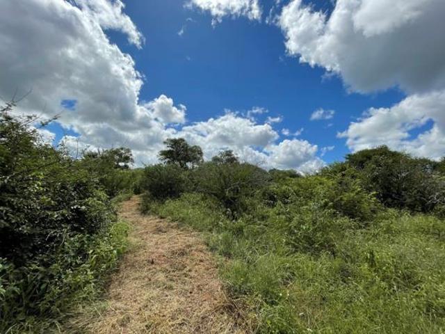 4 629 m² Land available in Zandspruit Bush and Aero Estate