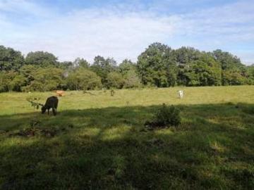 4.7 Acres de Terreno Fértil en Venta en Mata de Bugaba, Chiriquí