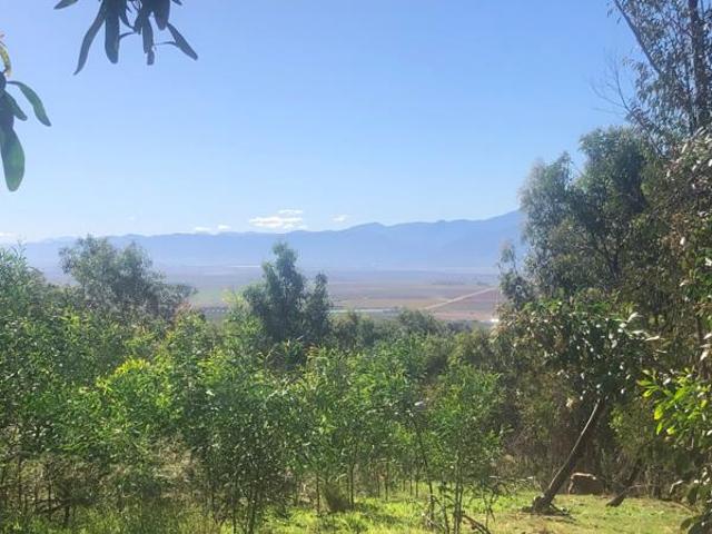4.8 ha Land available in Riebeek West
