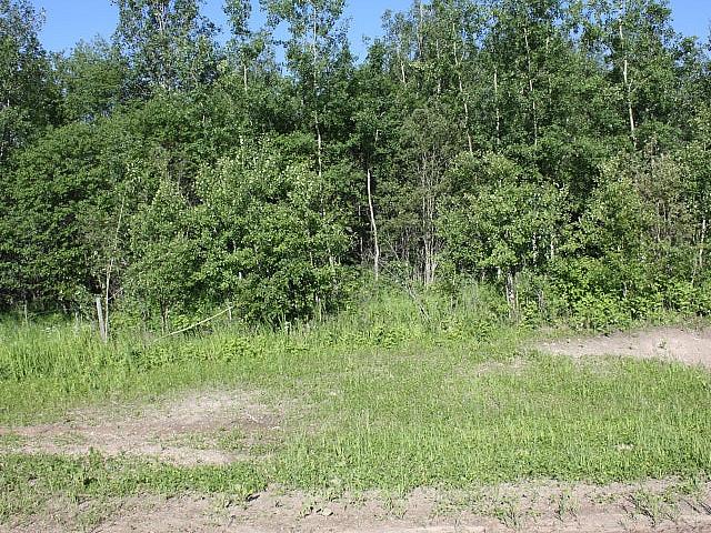 4.99 Beautiful Recreational/country Residential Acres