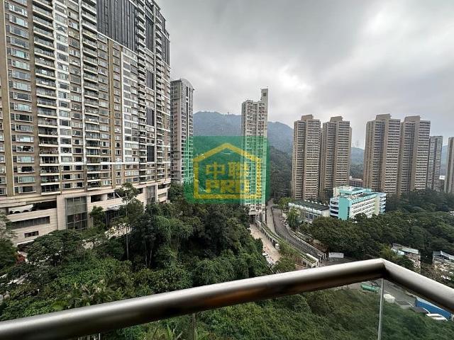 4房套+工人套連車位, 可睇樓