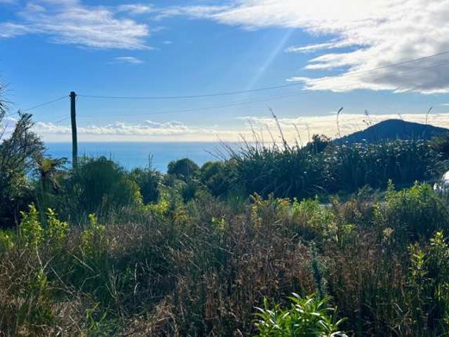 53 Blake Street & 40 Kane Street, Millerton, Buller