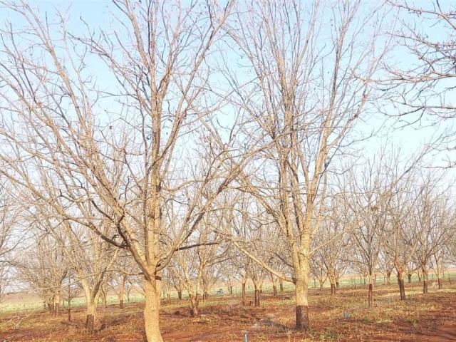 53 ha Farm in Hartswater