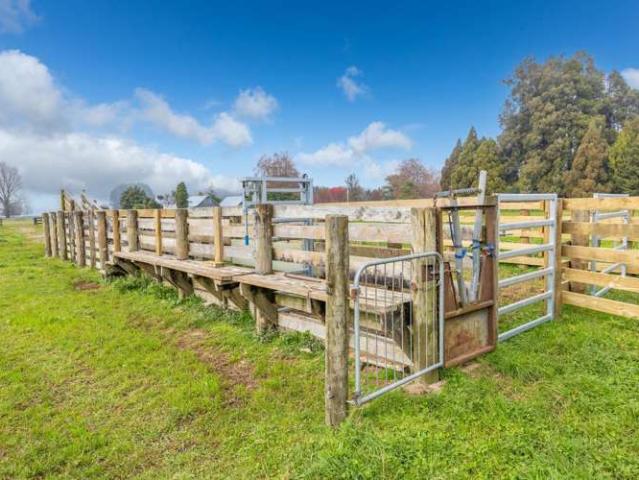 53 Hairini Road, Kihikihi, Waipa