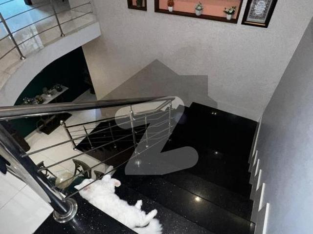 500yd 6 bed with 20KV Solar House For Rent DHA Phase 6
