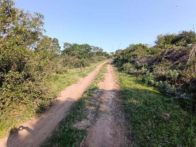 500 m² Land available in Bathurst