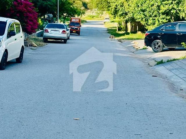 500 sqyd investor price plot in d 12/2 muree face