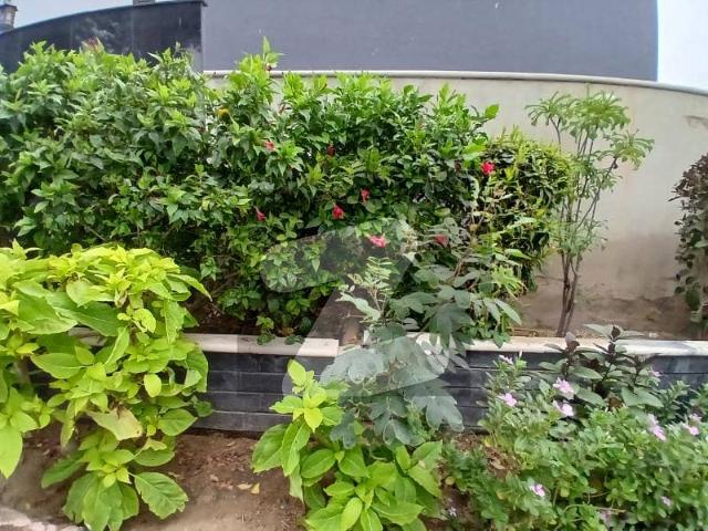 500 Sq. Yards Rear Plot Available For Sale On 37th Street Off Babar &Amp  Faisal, Located In Zone D, DHA Phase 8 Karachi