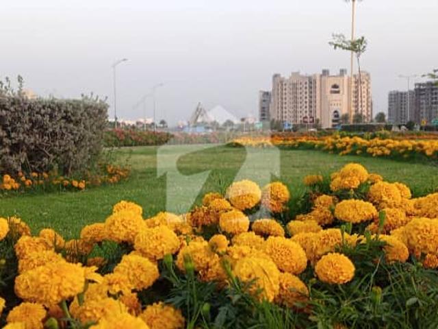 500 Sq Yd Plot Facing Bahria Head Office FOR SALE. Best Investment Opportunity