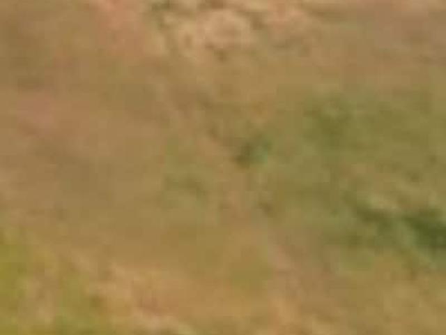 500 Sq.Yd. Plot in Ayali Khurd Ludhiana Listing ID: #10381
