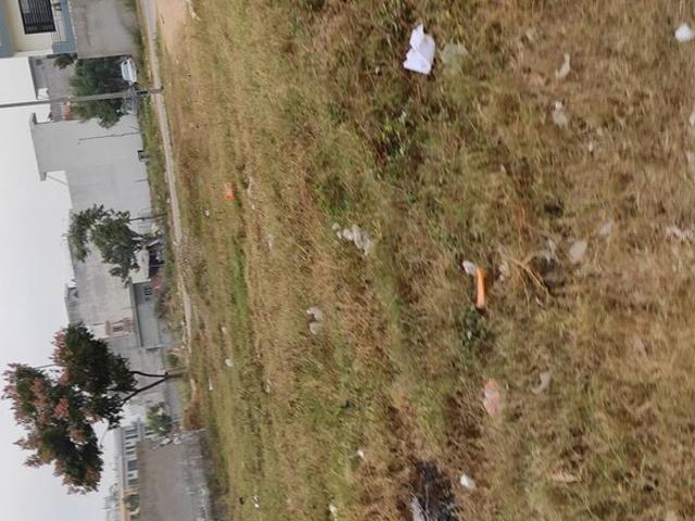 500 Sq.Yd. Plot in Mullanpur Chandigarh Listing ID: #10110