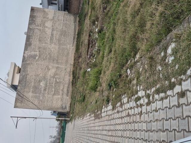 500 Sq.Yd. Plot in Sector 66 B Mohali Listing ID: #10174