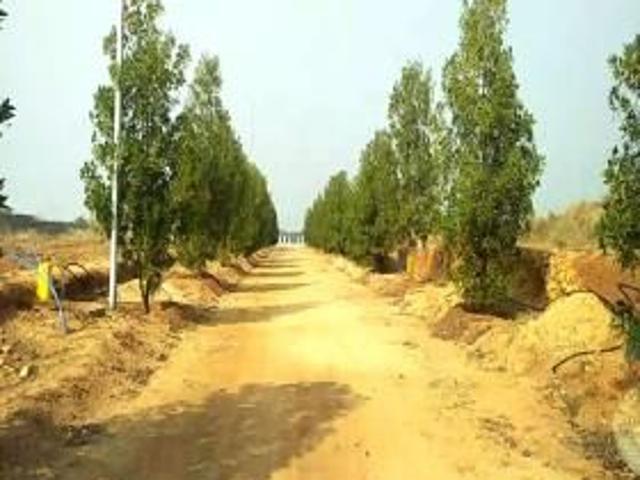 500 Sq Yd Residential Plot In, Shamshabad, Hyderabad