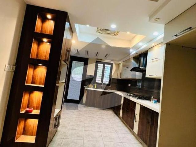 500 yards bungalow for rent proper two units house dha phase 8