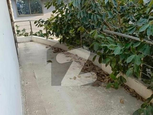 500 Yards Well Maintained House On Rent. DHA Phase 6