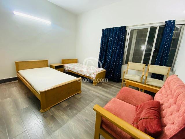 500 Yd² House for Rent