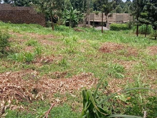 50*100 Plot for Sale at Kamakis Garden Estate
