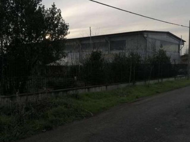 501/2021 1 BS magazzino in asta a Montirone
