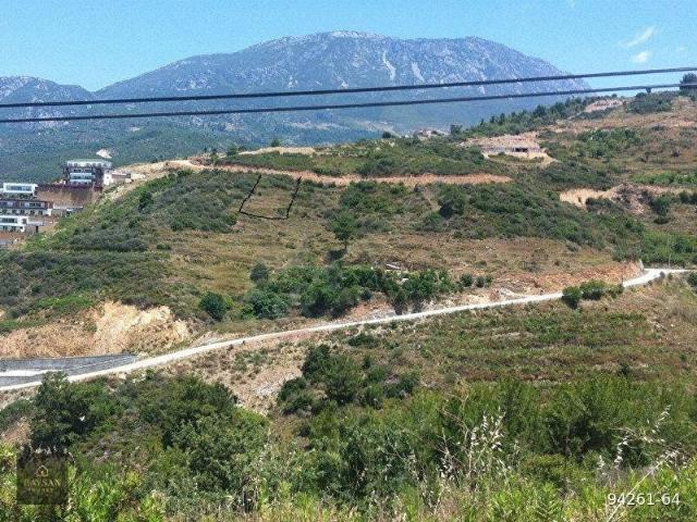 502 M2 YOLU ACILMIŞ ARSA