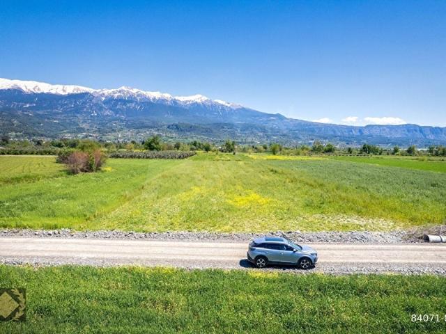 5044M2 TARLA [GÜNEŞLİ] MERKEZİ KONUM KADASTROL YOLA CEPHE