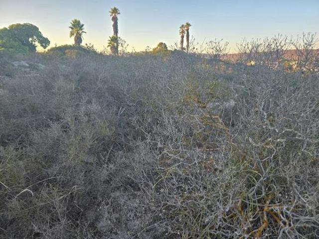 504 m² Land available in Shelley Point