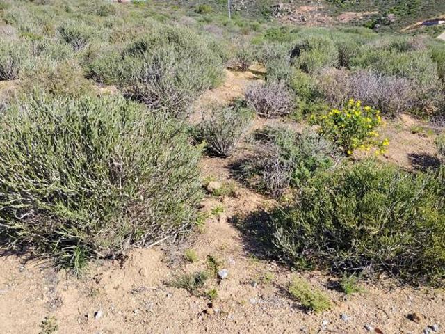 504 m² Land available in St Helena Views