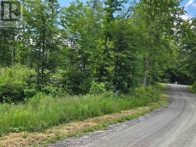 507 Black River Road, Tweed, ON, K0K 3J0 vacant land for sale | Listing ID X13553 | Royal LePage