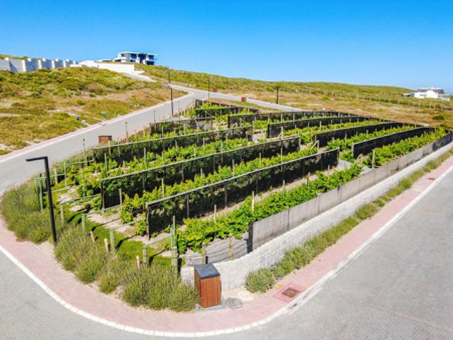509 m² Land available in Pearl Bay