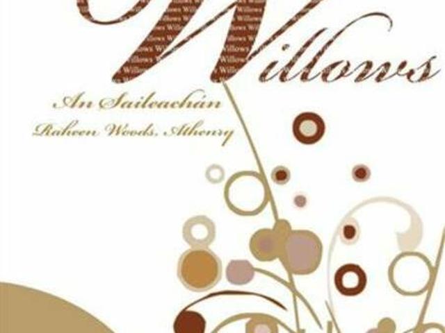 50 the willows athenry county galway