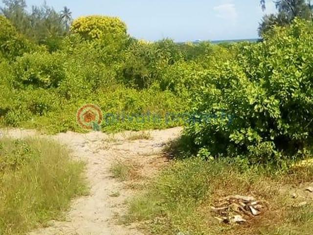 50 Acres Beach Property In Kilifi Bofa For Sale Ideal For Subdivision And Resale, Housing Project, Construction Of Beach Apartments, Executive Luxury Private Homes, Hotels, Beach Villas Or Ambassadorial Residences. Asking Price Is Kshs. 28 Million Per 1 Acre Negotiable [redacted]