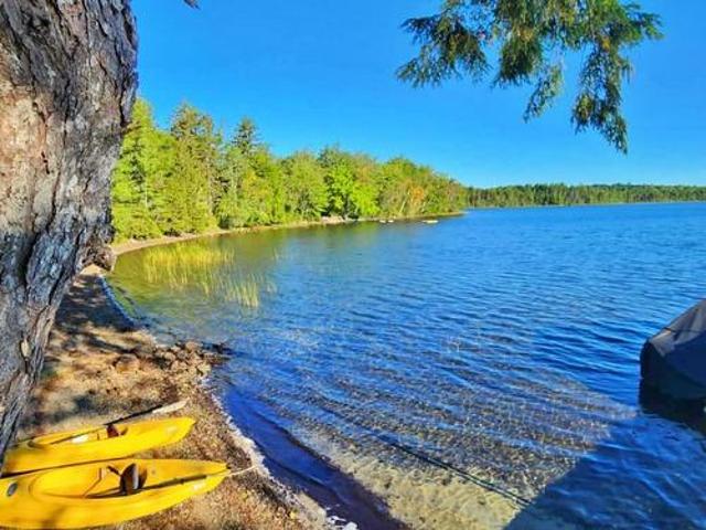 50 Andrew Lake Road, Laconia, NS, B4V 5W2 recreational for sale | Listing ID 202609 | Royal LePage