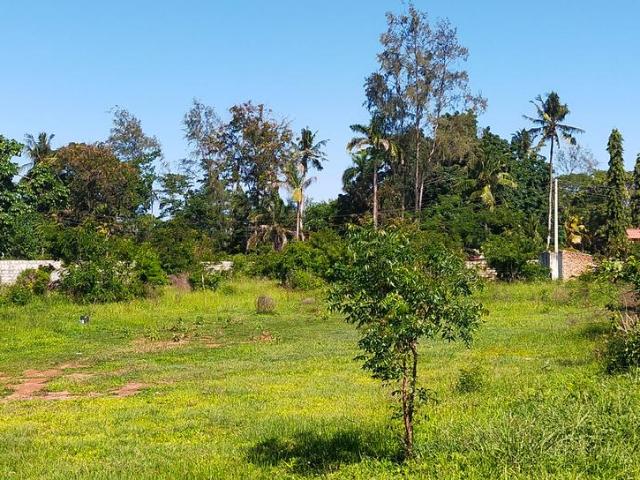 50 by 100 Acre Prime plot's Mtwapa