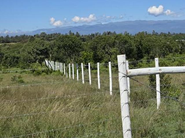 50 by 100 Nanyuki Airstrip plots for sale