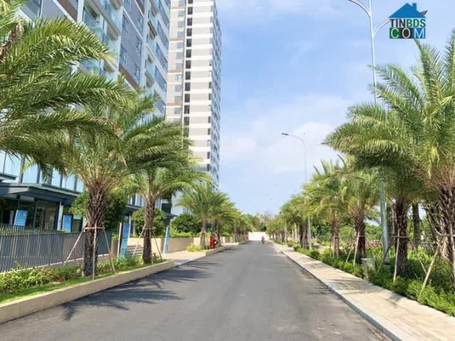 50 căn cho thuê tại Dlusso, chung cư cao cấp liền kề Q1 tại TT Quận 2