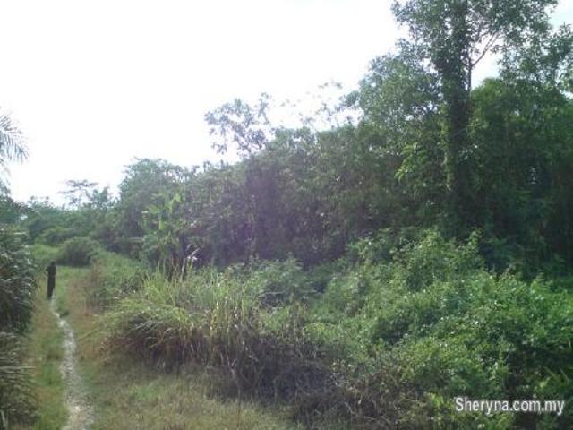 50 ekar agricultural land