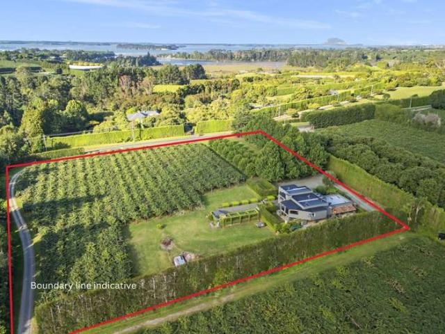 50 Emeny Road, Whakamarama, Western Bay Of Plenty