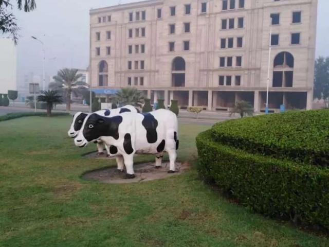 50 ft road 20 Marla possession plot # 354 G1, Bahria Orchard phase 4 Lahore Bahria Orchard ID 49611