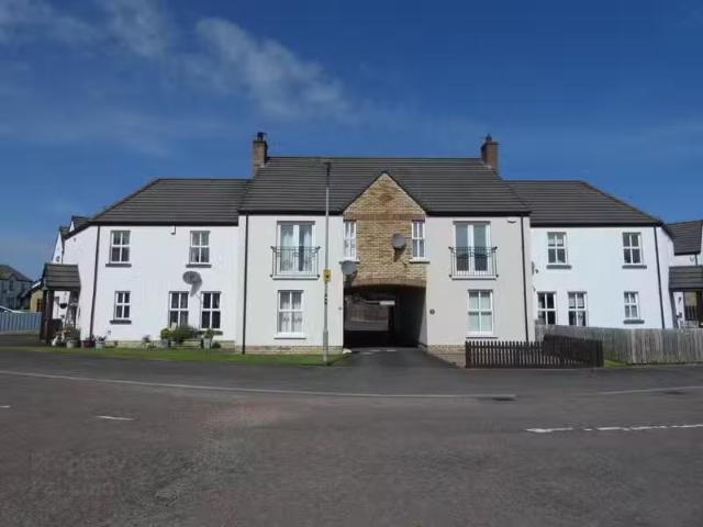 50 Millfields