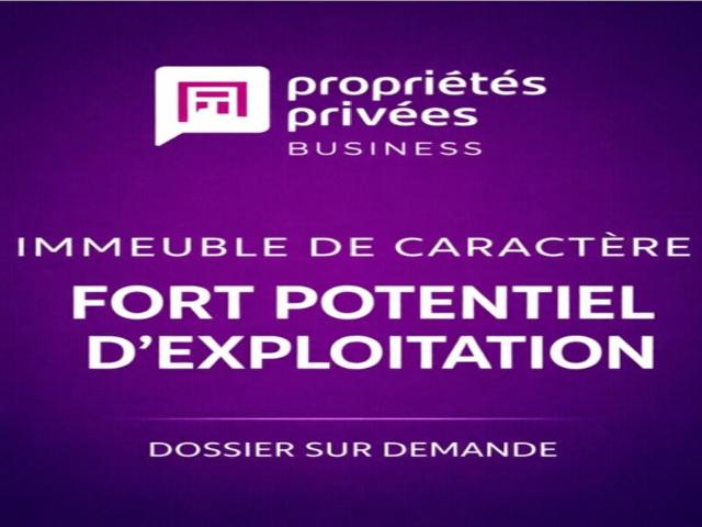 51100 REIMS MURS A VENDRE HOTEL PARTICULIER
