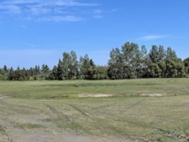 5111 45 Street, Viking, AB, T0B 4N0 vacant land for sale | Listing ID E4482 | Royal LePage