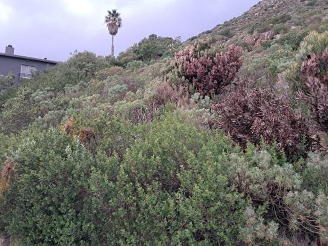 512 m² Land available in Mountainside